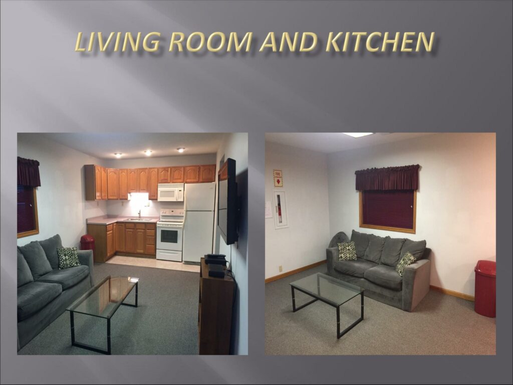 Living room and kitchen with couch and appliances.