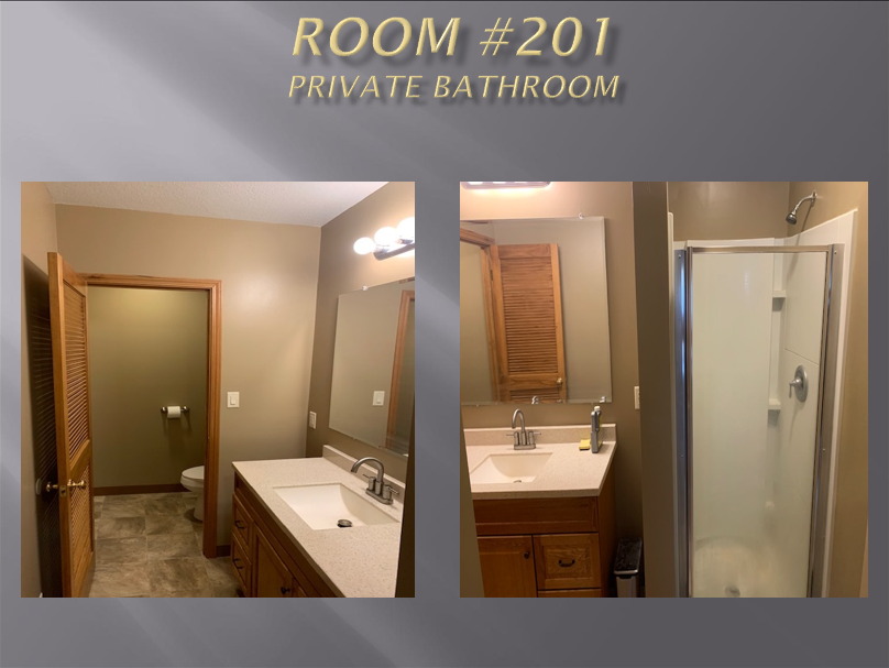 Room #201 private bathroom with shower.