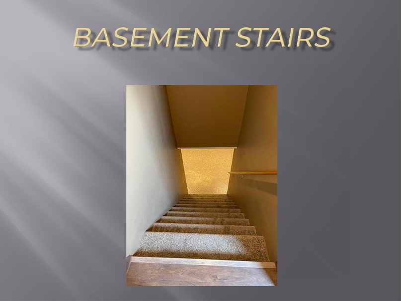 Carpeted basement stairs with railing.